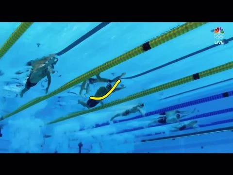 Swimming dolphin kick
