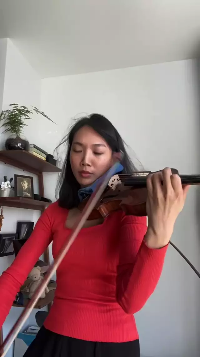 Levers violinis