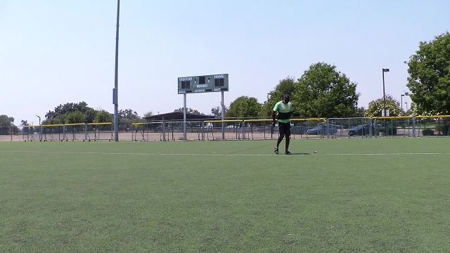 Training arms with palo