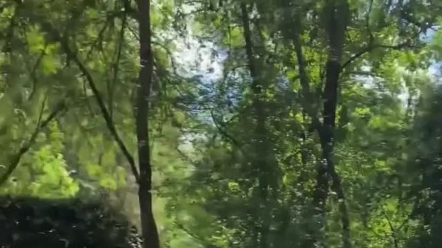 Shin angle change and hip acceleration