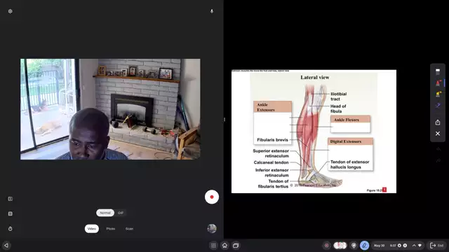Explaining rotational muscle contractions ssc