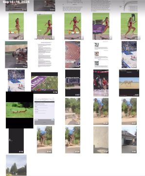 Compare myself to a cheetah tall hips